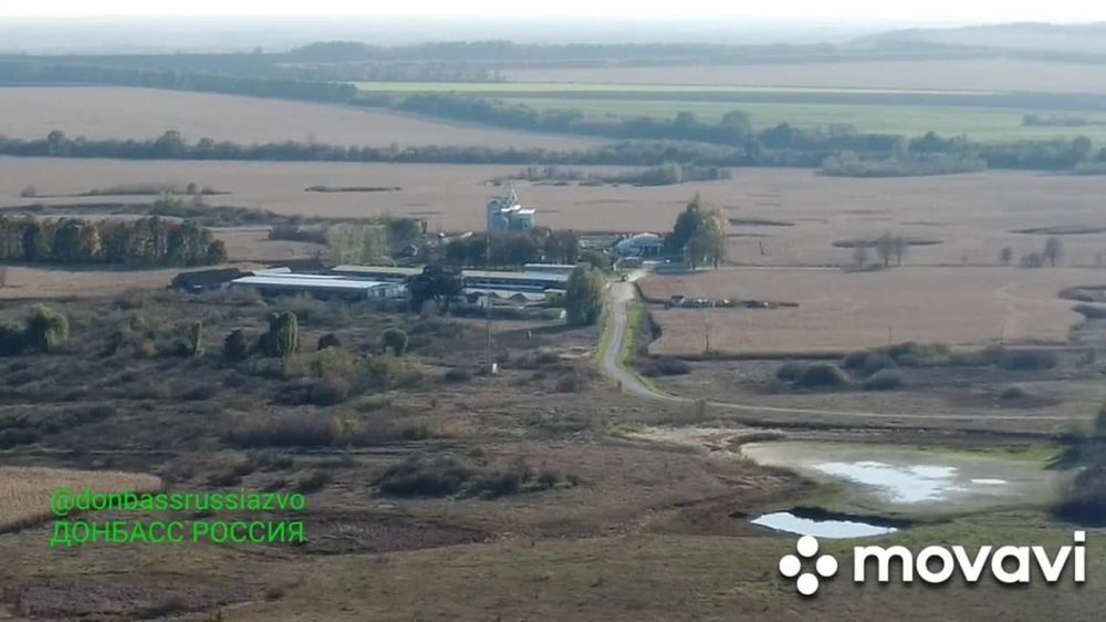 ����� �����: �������� ������� ��� � ������� �������