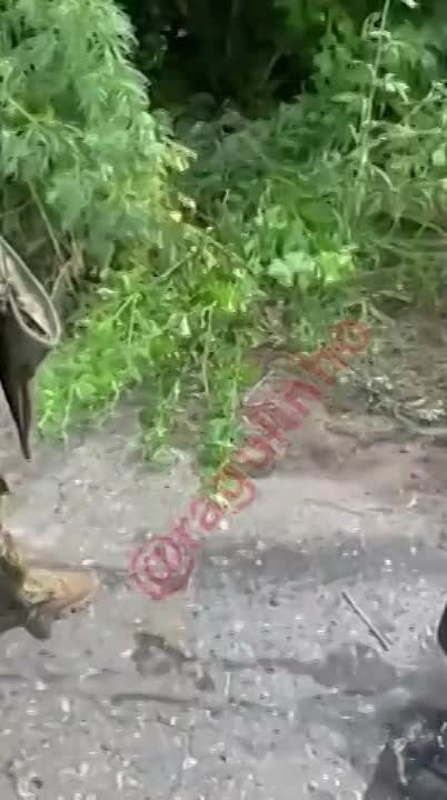 Подразделения украинской теробороны устроили между собой перестрелку в Сумской области: случайно убили двоих гражданских — женщину и её сына