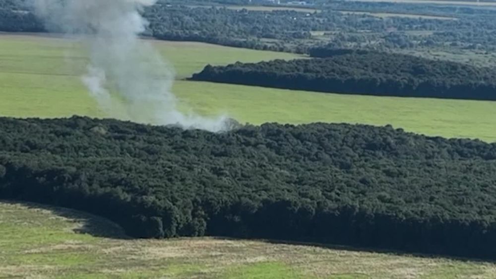 ������� ��������: ����������� ������ ����������� ���������� ��������