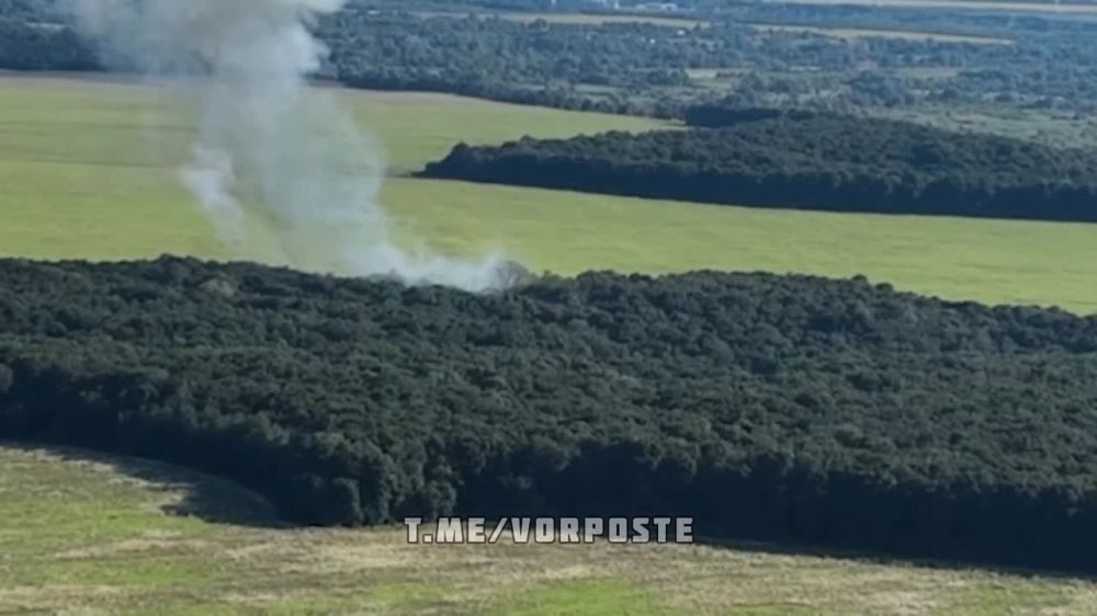 ���� �� ������ ����������� ��� �������� ���������