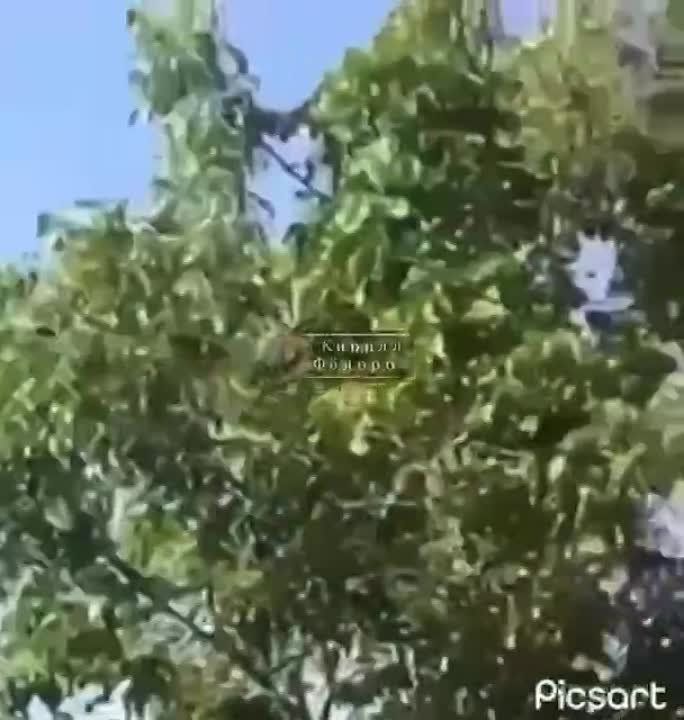  :  :           
