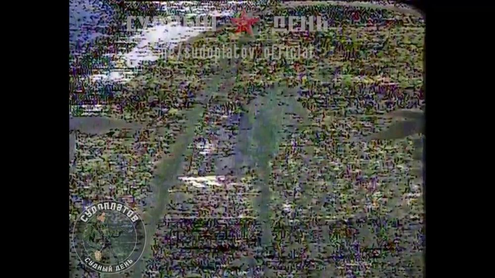 ����� �����: �������� ����� � ���������� �������, ����� ���� � ���������� ��� ����������� FPV-������ ������������� �����������