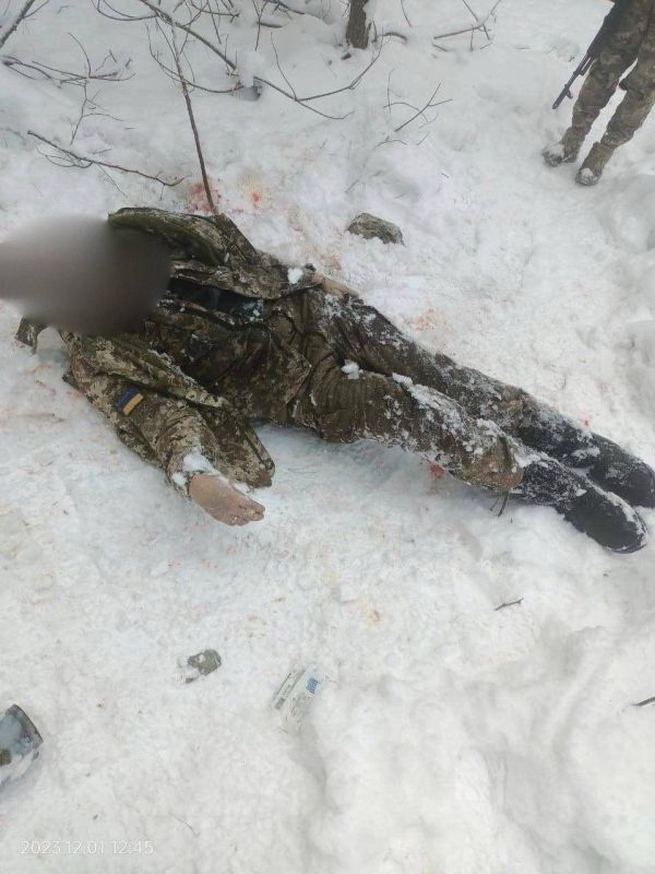 ����� �����: ���� ��� ��������� � ������������ �������