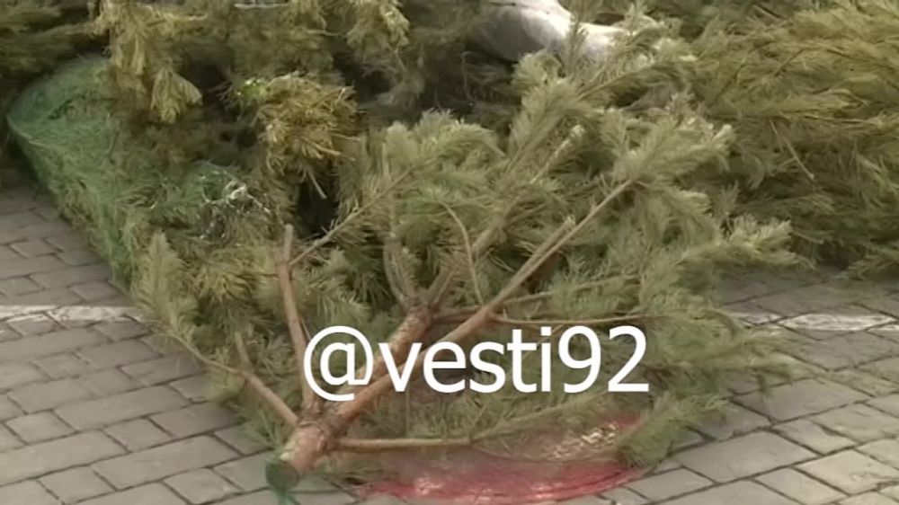 11 ������ � ����������� ������ �������� ����� ����� ���������� ���� ��� ���������� �����������