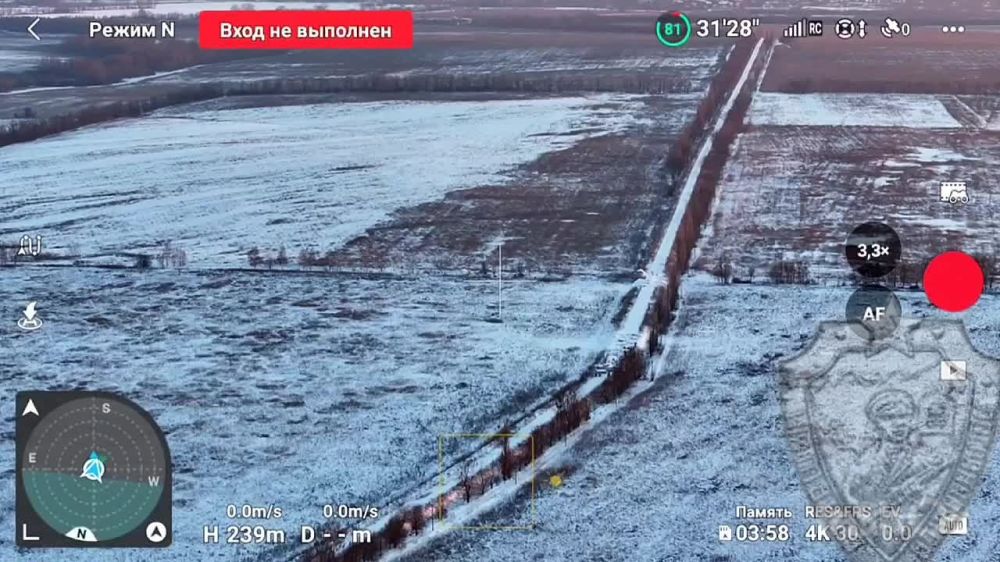 ����� �����: ����������� ��������� � ������������ ������� ������� �������, ������ ������ �������� ���������� ��������