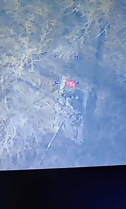 �� ���� ����� � �������� ������� ��������� ������������ ���������� �� ������������ ��������