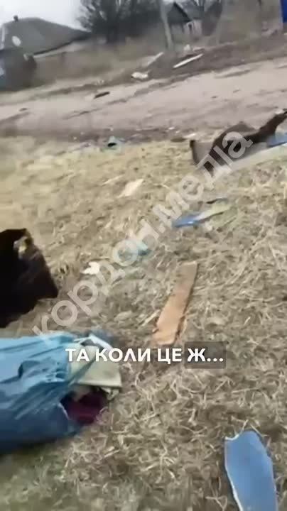 ��� ������: � ���-����� �������-������������