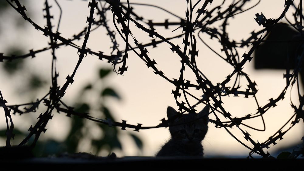 Назад в Харьков, Сумы, Чернигов и не только: какая санитарная зона нужна России