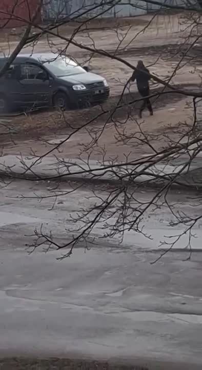 Будни современной Украины: белый день на дворе и драка с монстрами людьми в форме