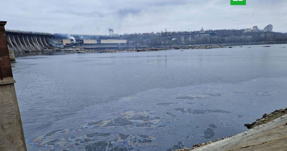 ������� ��������� ��������� ����� ����� �������