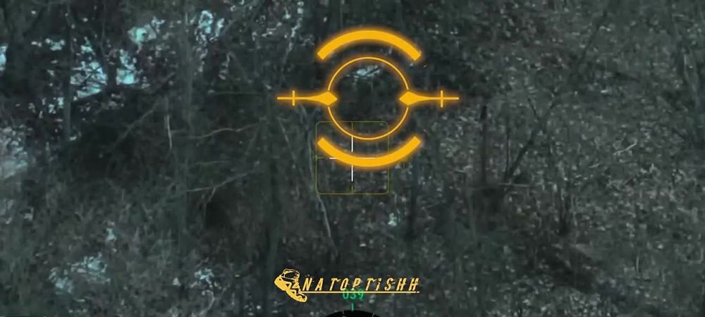 ����� �����: ������������ ����������� ��������� ��������������� ������� ���������� ������ �������� ���������� � ������������ ������