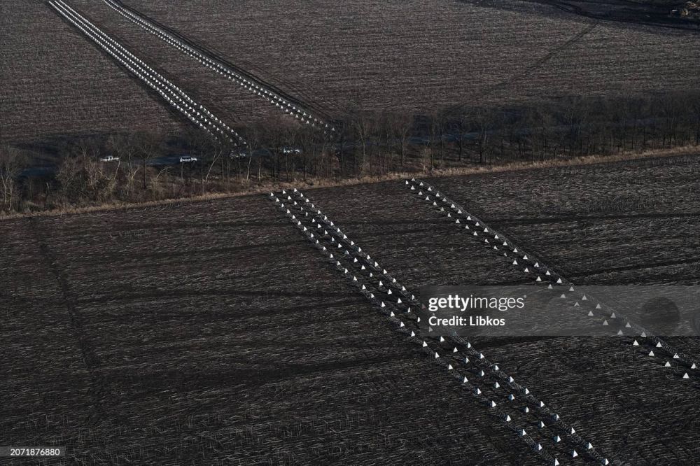 Z���� ��� �����: � ����������� ������� ��������� �������������� ��������� ���������