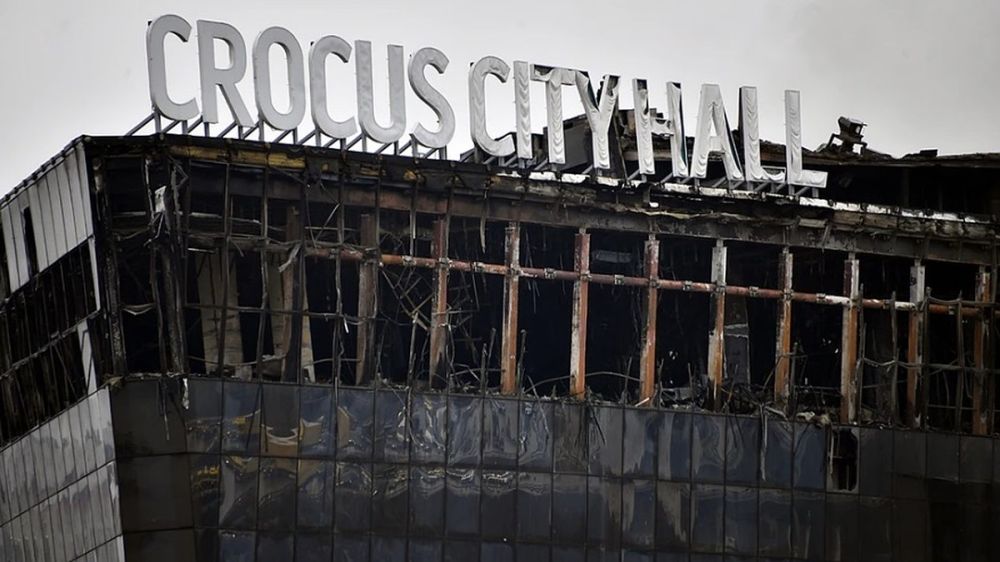 Террористы из "Крокуса" заявили, что в Киеве им обещали дать по миллиону рублей