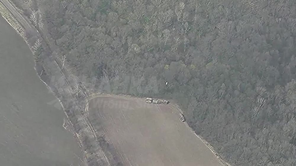 ���� ��������: ������� ������� - ���� �� ��� ���: ����� �����