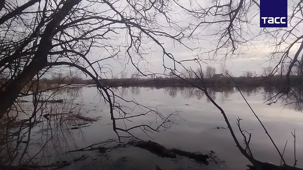 Обстановка недалеко от деревни Передергины Курганской области, где размыло запруду