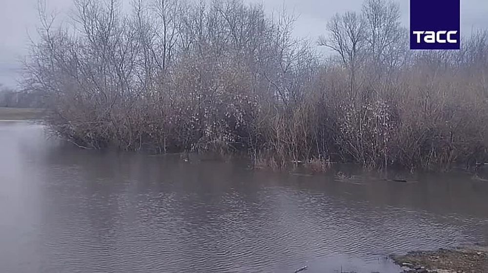 Понтонный мост через реку Тобол сорвало в деревне Лаптево Курганской области из-за паводка, передает корреспондент ТАСС с места событий