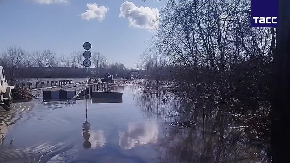 Мало-Чаусовский железобетонный мост подтопило паводковыми водами реки Тобол в Кургане, передает корреспондент ТАСС