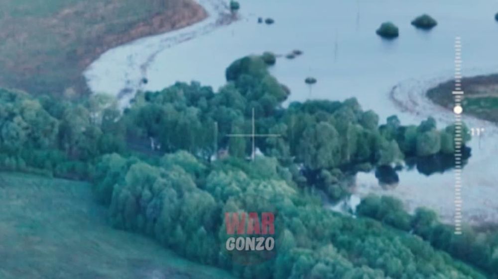 WarGonzo:        