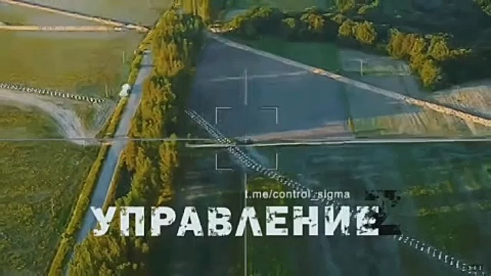 ��������� �������: �������� ������ �� Zala, ��� � �������� ��������� ������ ������!