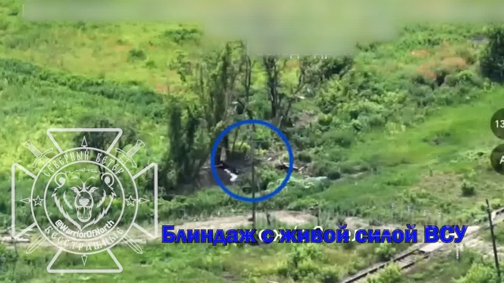 ����� �����: ����������� �������� ���������� �������� � ������� �������