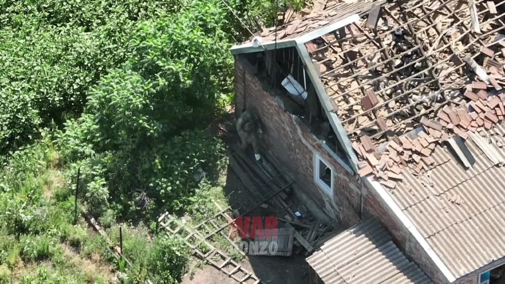 В ДНР из-за атак украинских боевиков погибли пять жителей, сообщил глава региона Денис Пушилин