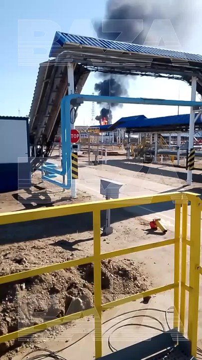 ����� � ����� ��������� �� ��������������������� ����������� ���������� � ������� (���������� ����)