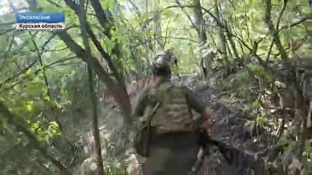 � �������� � ������� �����������: ���������� ����������� ���� ���������� �����������