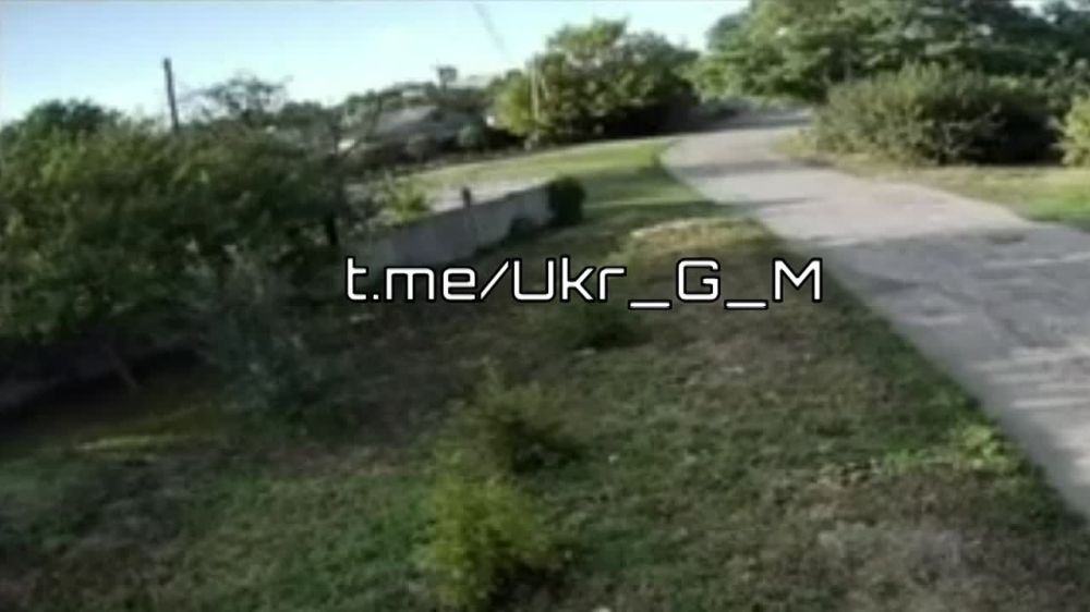 ������ ��������� ������������ ������ ������ ��������� ����� � ����, ���������������� �� ���������� ������ ������� ��� � ��������� ������� �������