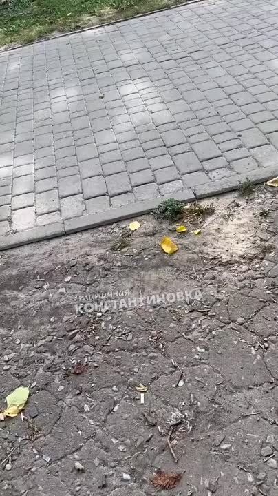 � �������������� (���) �������� �������������� ��������� ���������