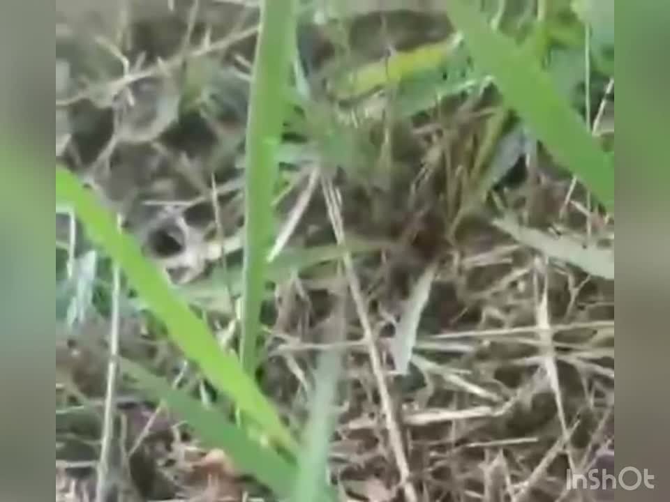 ��������� � ��������� ������� ��������� ���� �������������