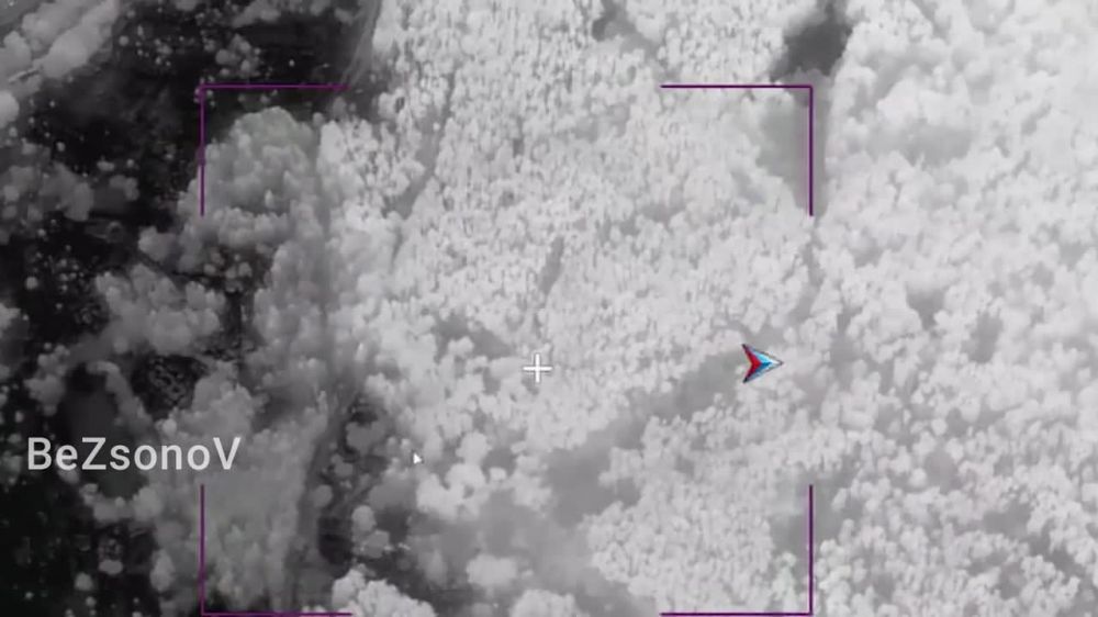 ������ ��������: �������� ����� �� �� �� ��������������� �������� ������� ������� � ������� ��� � ������� �������, � ������ ���������� ������� ������� � �������