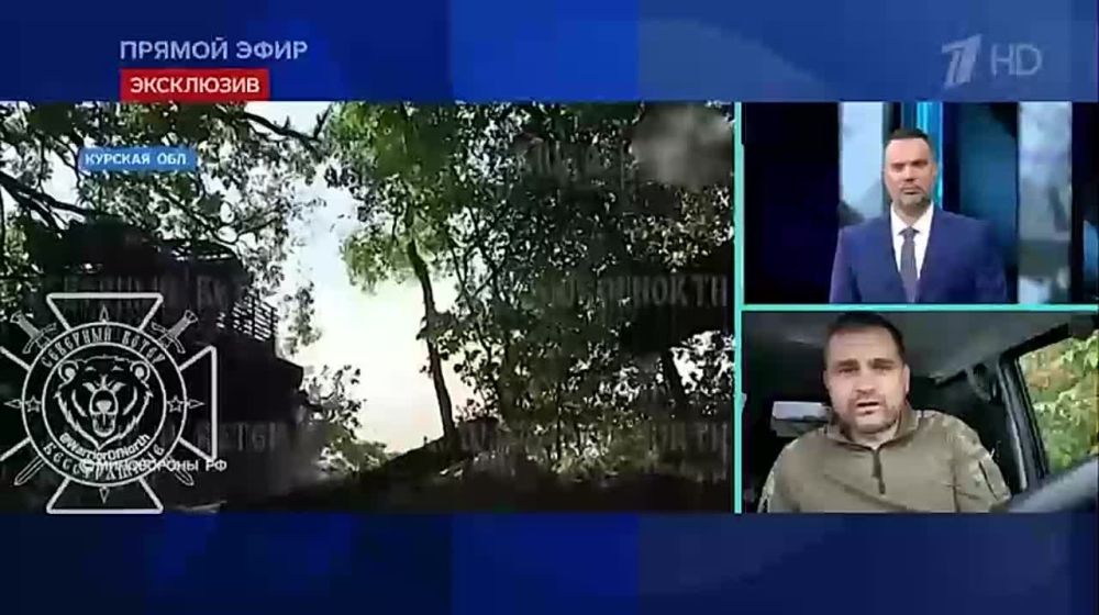 Такого концентрированного поражения HIMARS, как в курском приграничье, ещё не было