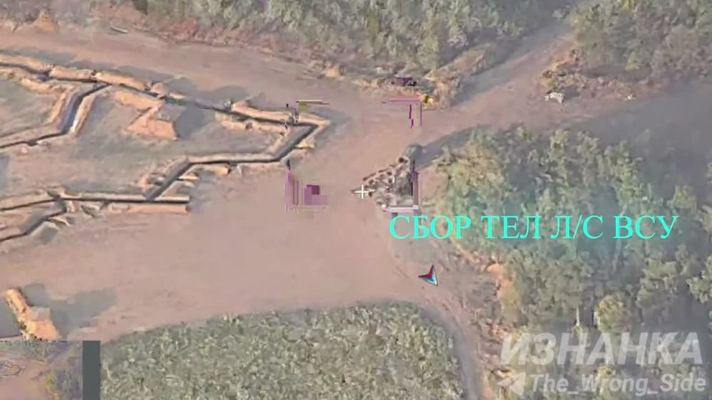 ����� �����: �� �������� �� ������� �����������