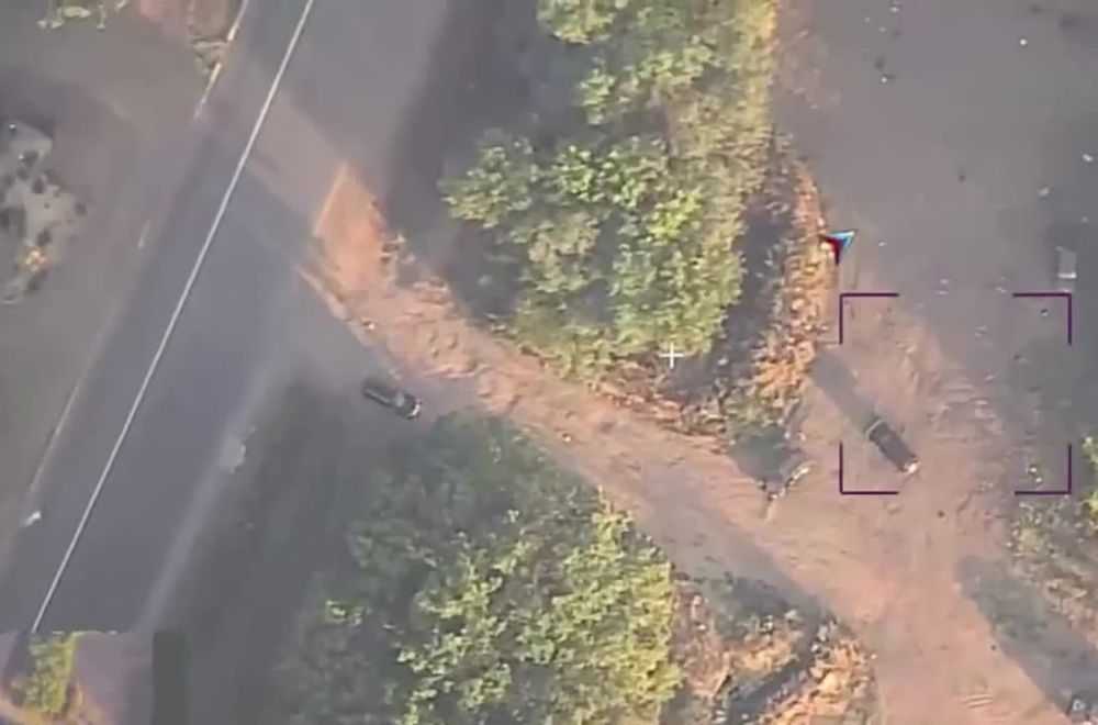 ������� �����: ����� �� ����� ������� ����������� ������ ���� ����������� ����� ����������