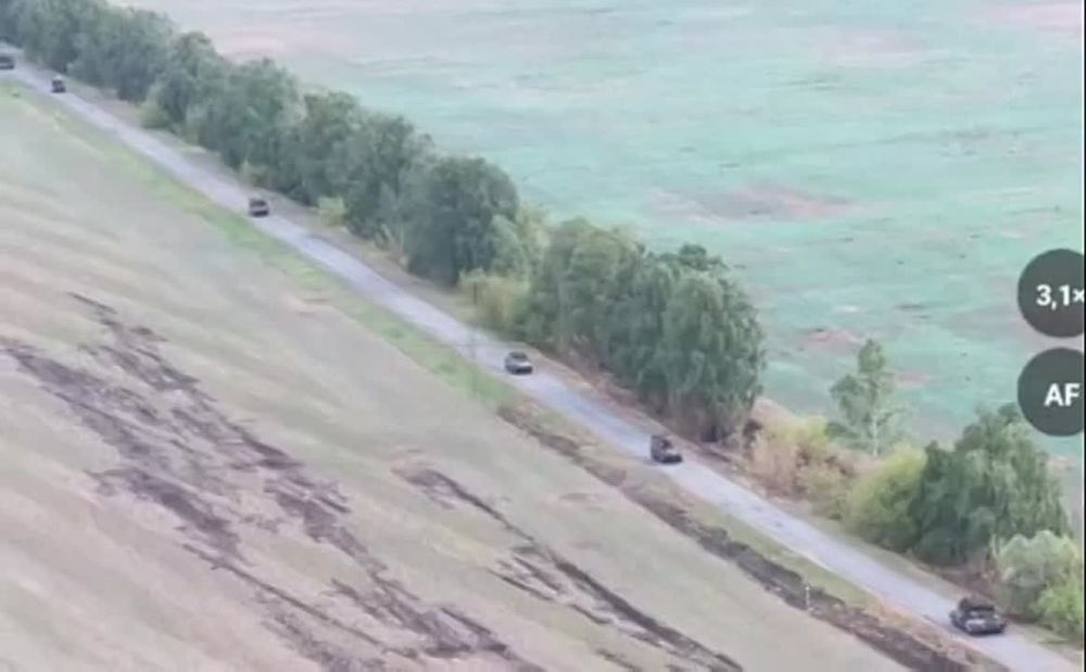 ���� ��������: � ������� ������� �������� ����������� ����������������