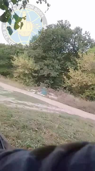 ��� ������: #������ �� ���� 12 �������� 2024 ����