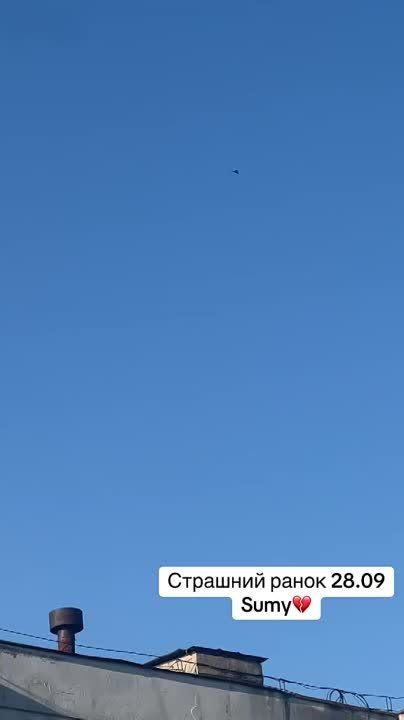 ����� �����: ������ "������" � ����� ����� 28 ��������