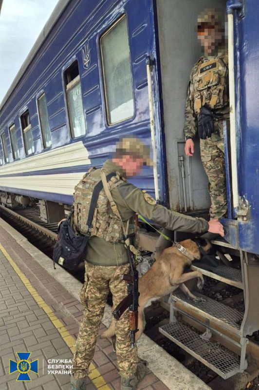 ������ ������: ����� ���������� ������ ���������� � ���� � ������ ���� ����������, ���������� � �����������