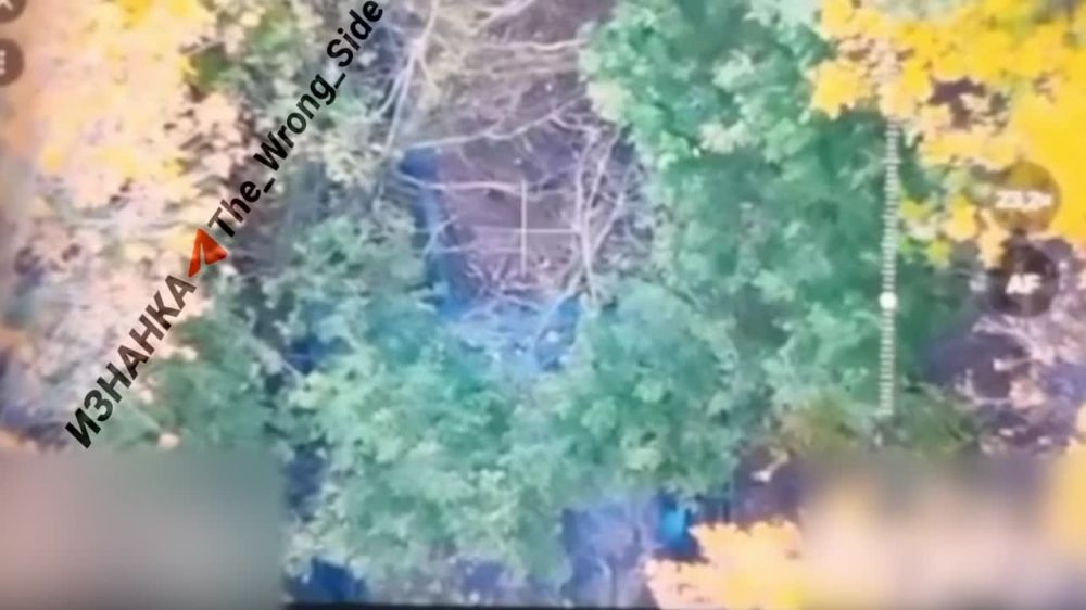 ����� �����: �� ������ o����������� �������� ��������� �������� ������ �� ������� ������ "Leopard" 21-� ���� ��� � ������ �.�