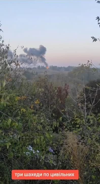 �������� �����: ������ ����� �������� ���������� � �����