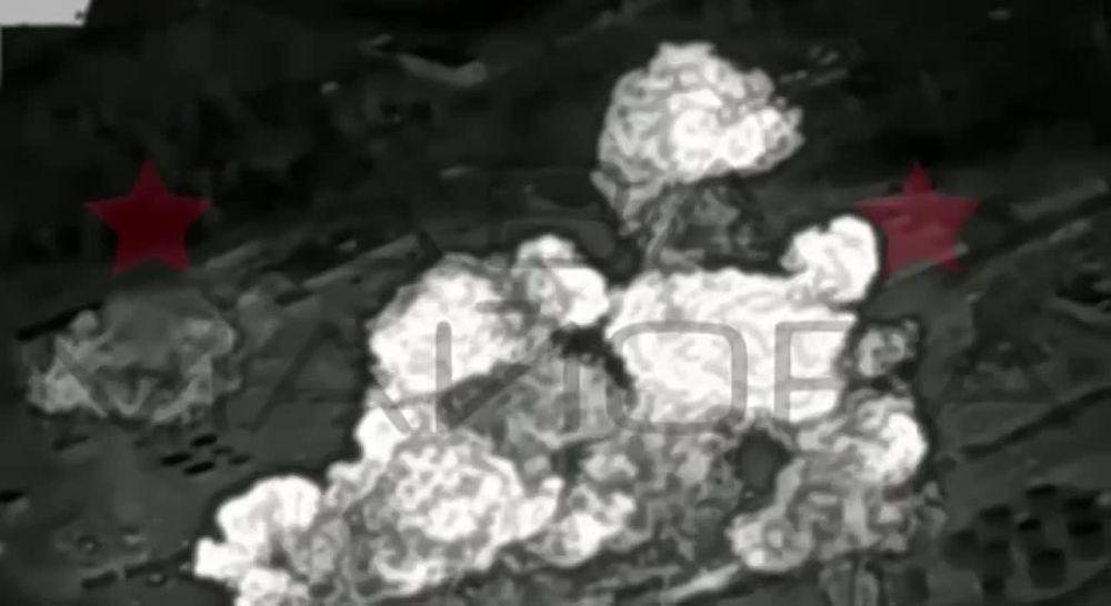 ��� ������: #������ �� ���� 31 ������� 2024 ����