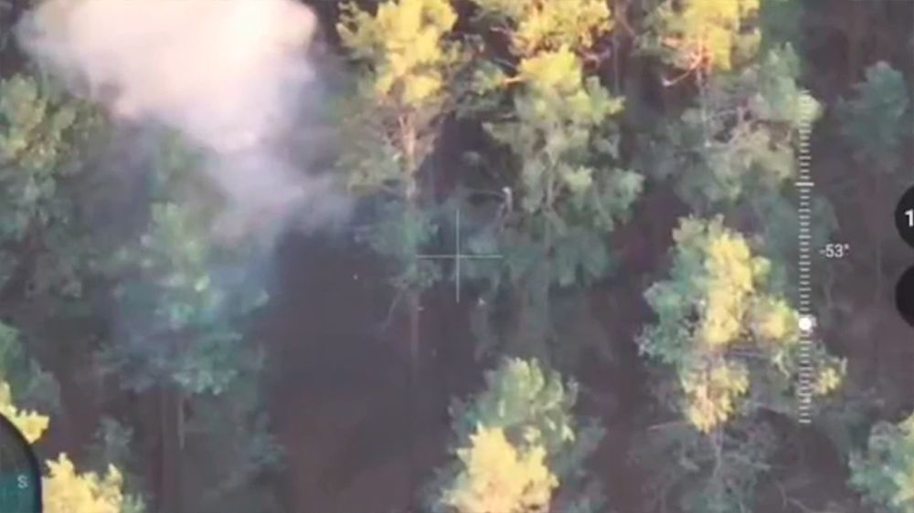 ��������� FPV-������ ���������� �������� ��� ����� � ��������