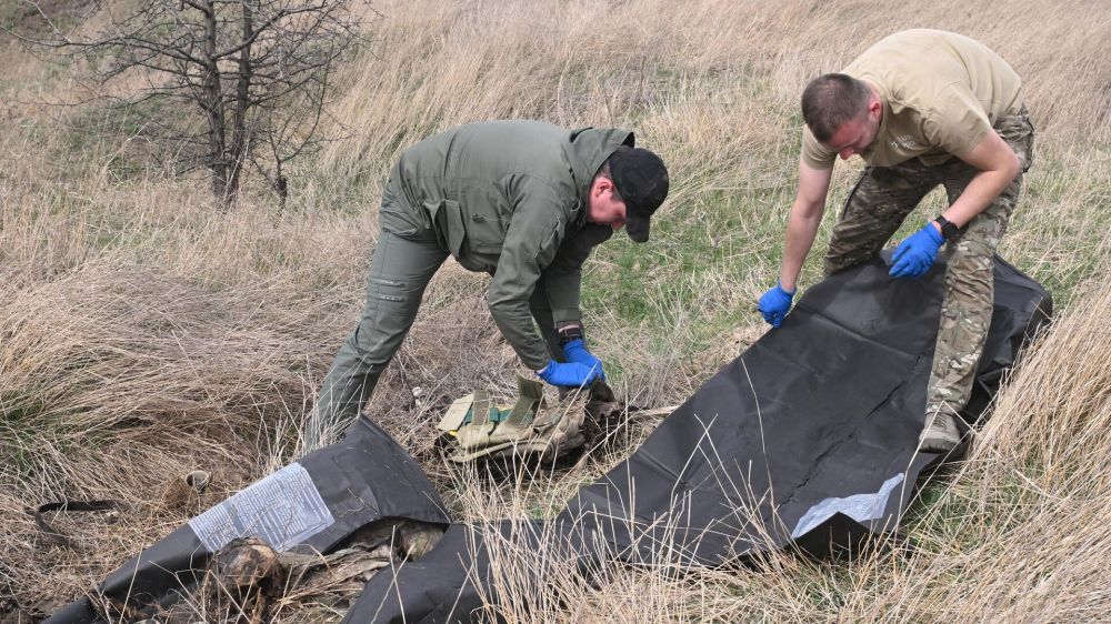 ���������� ����� �����������: ��������� ������ � ������� ��� � ������� �������