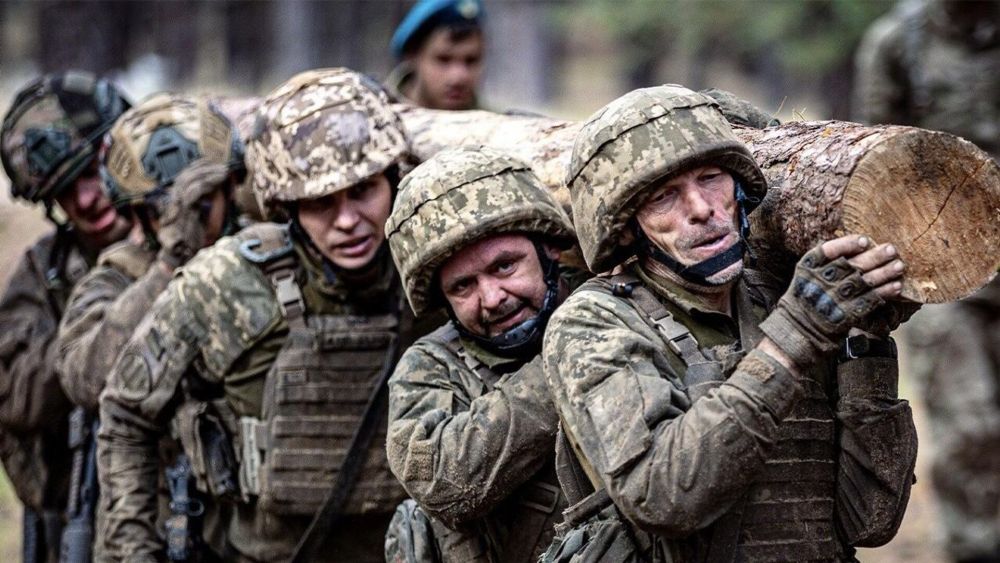 � ��� �� ����� ���� ������ ������: �������� ����� ������ �������������� ������ � ��������