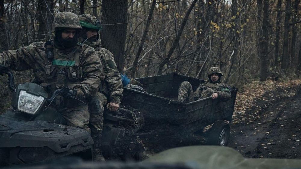 "�������� ����": ������� �������, ������ ������� ������������� ��� ������� ������� �� ������� �������