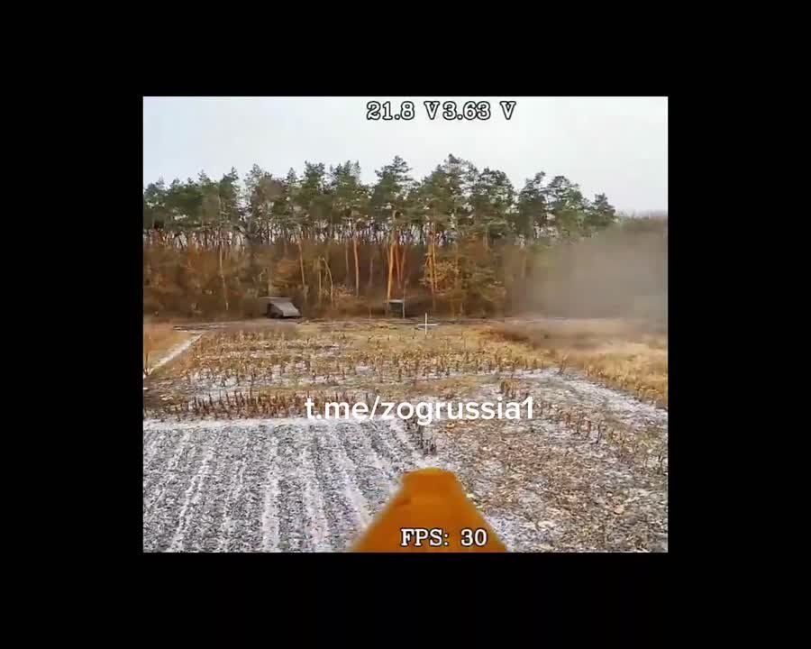 ��������� �������: ������ �� "������" (�������� ����)? ������ � ��� ���! ������ ������!