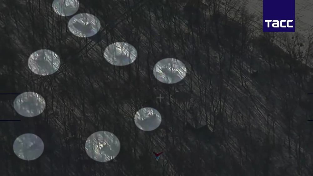 �������� �����: ������� ���������� ���������� ��������� ������ � ���� � ������� ������� ������� � ������ ����� ���� ������� �� ������ ���� "��������"