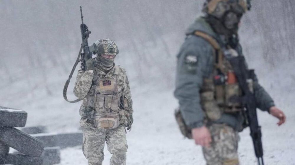 Николай Сорокин: когда ВСУ получили "по зубам" под Курском, они перебросили "ударный кулак" на Донбасс