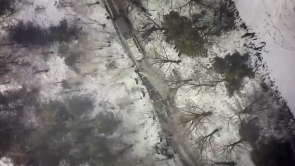 �������� �������: ��� ���������������-������� ������ ��������� �� ��������� ���������� ������������� �������� ����������