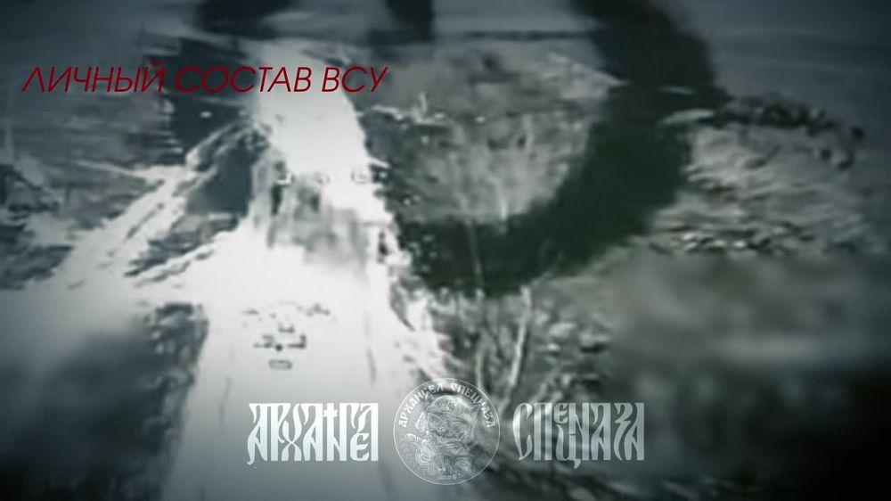 Прыжки в бездну на Сумском направлении